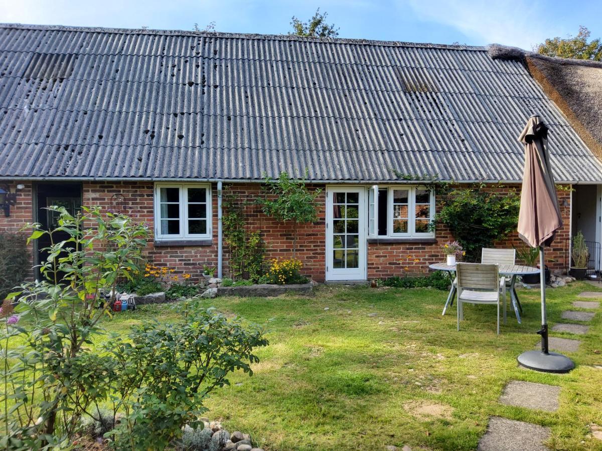 Ringkobing Fjord B&B 斯凯恩 外观 照片