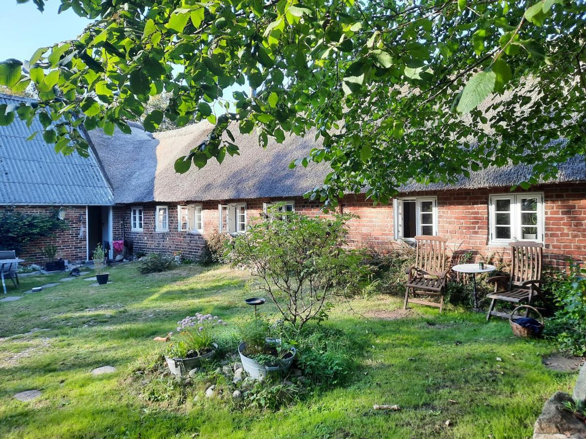 Ringkobing Fjord B&B 斯凯恩 外观 照片